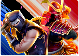 Ninja Vs Samurai Screenshot