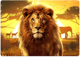 Safari Wilds Screenshot