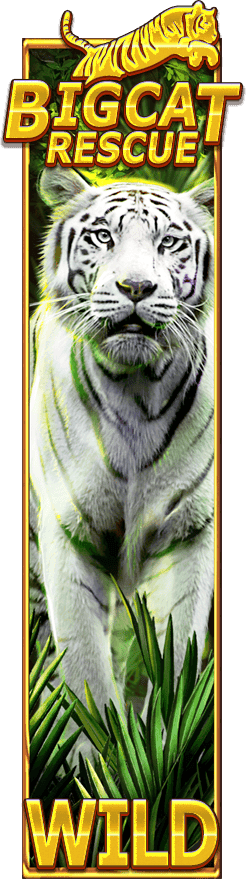 RT Big Cat Rescue Megaways Screenshot